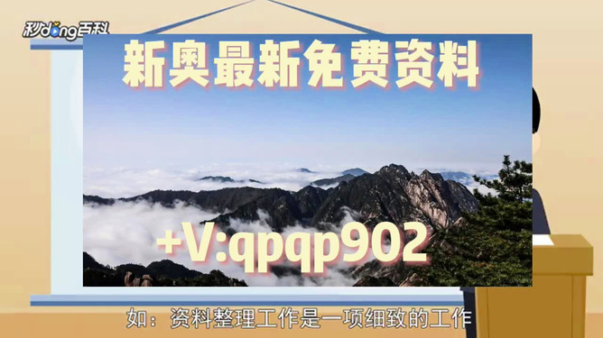 2024新奥精准资料大全;-精选解析、解释与落实